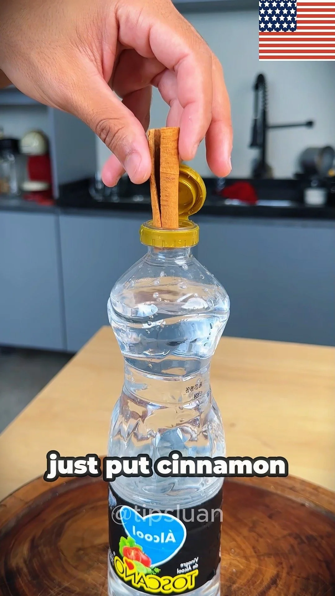 Cinnamon sticks immersed in vinegar for home remedy solutions.