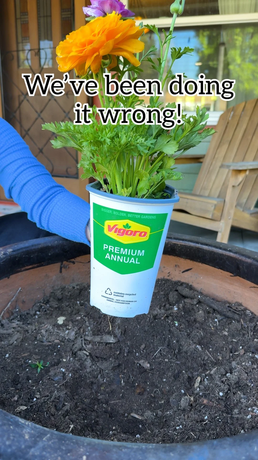 Easiest Way to Plant Flowers: Achieve Perfect Spacing with Packaging 1 A guide to planting flowers with ideal spacing using packaging methods