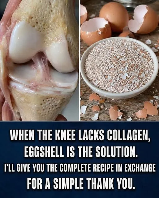 Eggshells: What to Do Before You Throw Them Away 1 Recycling eggshells for gardening and household uses