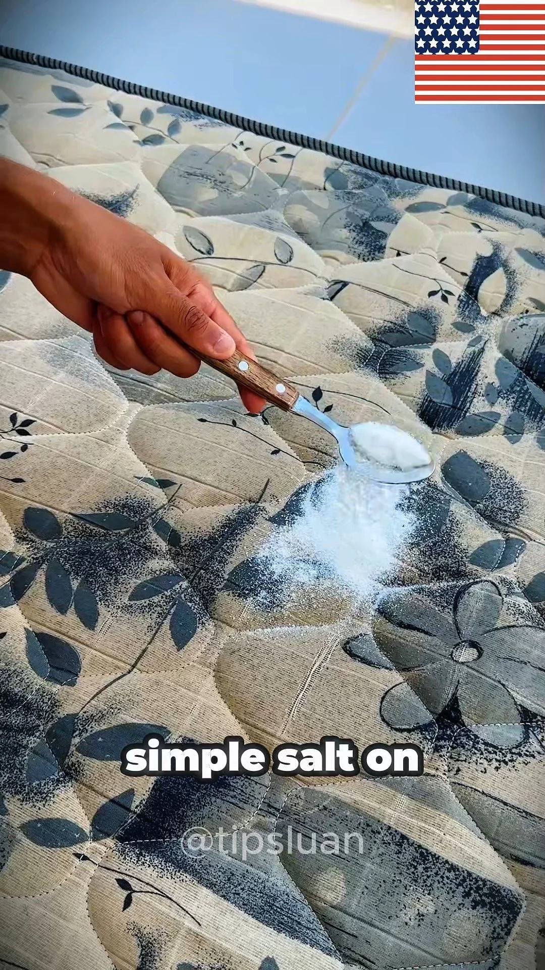 Salt on the Mattress: Hotel Housekeeper's Secret Revealed 1 Hotel housekeeper applying salt to a mattress for cleaning purposes