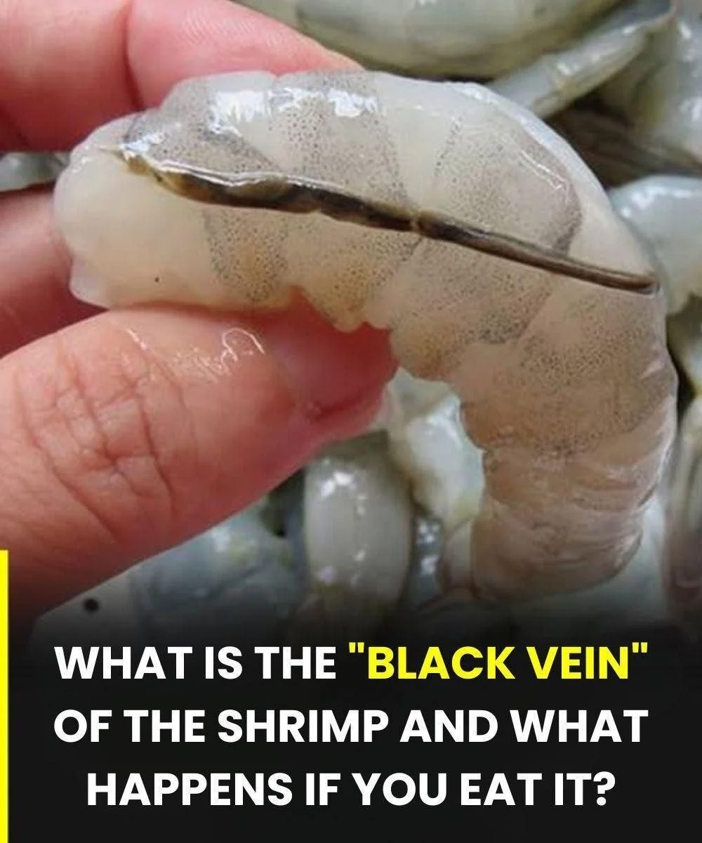 Shrimp Vein: The Culinary Detail Few Know and Many Discuss 1 Close-up image of shrimp showing the vein, illustrating culinary preparation.