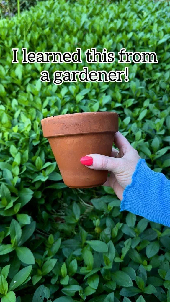 Smart Home Garden Tips: Easy Ideas for Flowers, Planting, and Maintenance 1 Smart home garden tips for flowers, planting, and maintenance solutions.