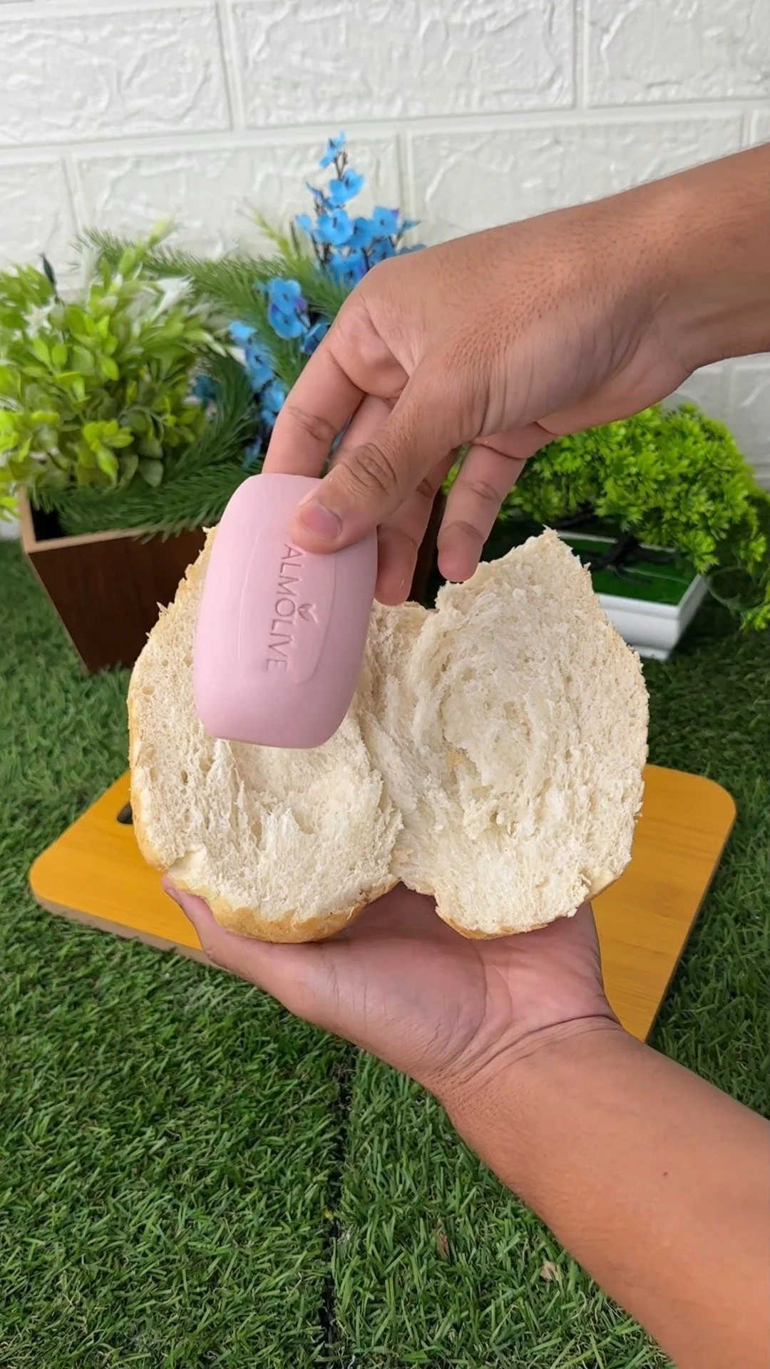 Soap and Bread Trick to Keep It Away for Good 1 Soap and bread trick to repel pests effectively