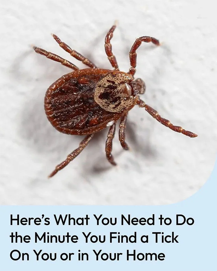 What You Should Do 1 Guide on what to do in different situations for positive results