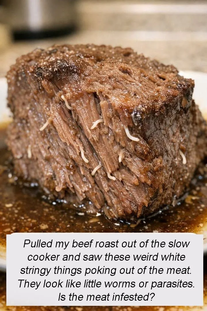 White Stringy Things in Beef Roast: Worms or Parasites? 1 Close-up view of beef roast with suspicious white stringy substances.
